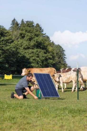 Fotografija izdelka Pastir AKO Duo Power Xi 8000 smart 12V