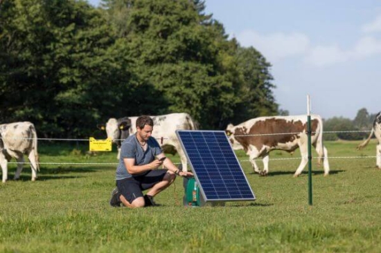 Fotografija izdelka Pastir AKO Duo Power Xi 8000 smart 12V