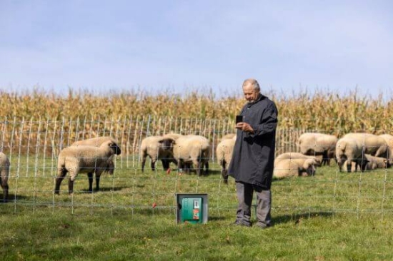 Fotografija izdelka Pastir AKO Duo Power Xi 8000 smart 12V