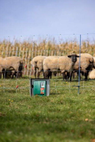 Fotografija izdelka Pastir AKO Duo Power Xi 8000 smart 12V