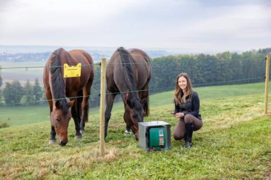 Fotografija izdelka Pastir AKO Duo Power Xi 8000 smart 12V