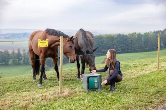 Fotografija izdelka Pastir AKO Duo Power Xi 8000 smart 12V