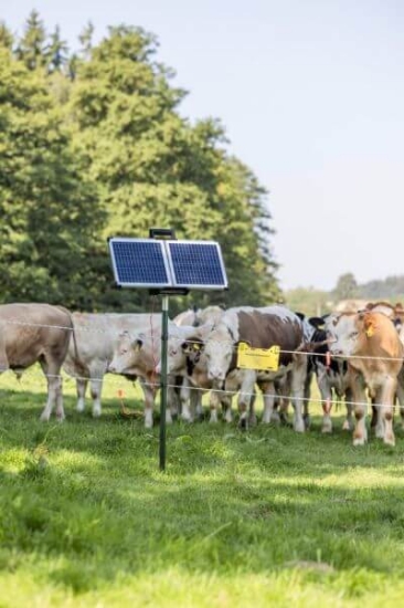 Fotografija izdelka Pastir AKO SunPower S2400  Smart 12V