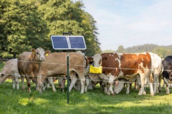 Fotografija izdelka Pastir AKO SunPower S2400  Smart 12V