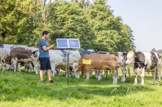 Fotografija izdelka Pastir AKO SunPower S2400  Smart 12V