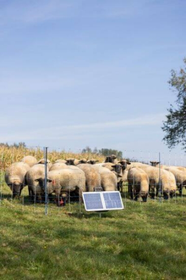 Fotografija izdelka Pastir AKO SunPower S2400  Smart 12V