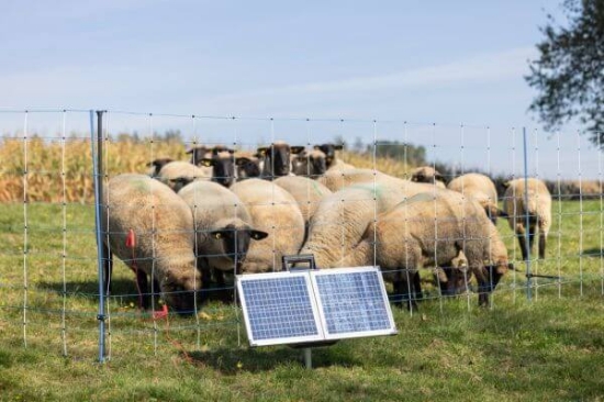 Fotografija izdelka Pastir AKO SunPower S2400  Smart 12V