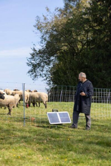 Fotografija izdelka Pastir AKO SunPower S2400  Smart 12V