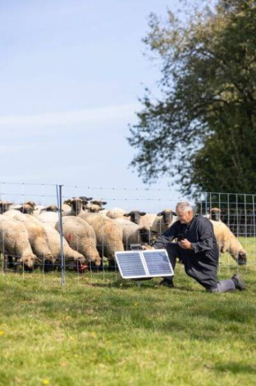 Fotografija izdelka Pastir AKO SunPower S2400  Smart 12V