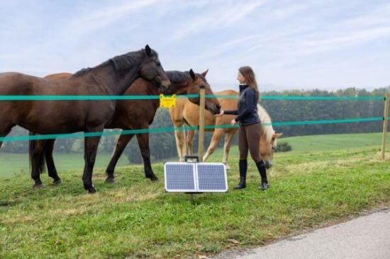 Fotografija izdelka Pastir AKO SunPower S2400  Smart 12V