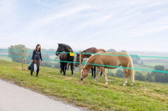 Fotografija izdelka Pastir AKO SunPower S2400  Smart 12V