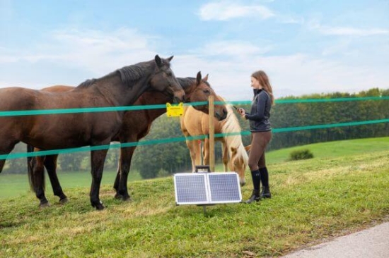 Fotografija izdelka Pastir AKO SunPower S2400  Smart 12V
