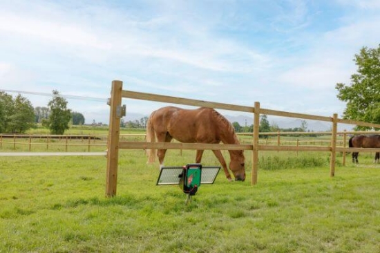 Fotografija izdelka Pastir AKO SunPower S4000 Smart