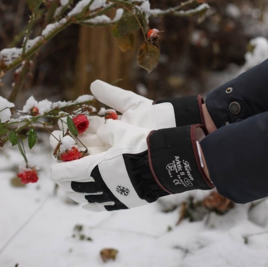 Fotografija izdelka Rokavice Arctic II (10 / XL)