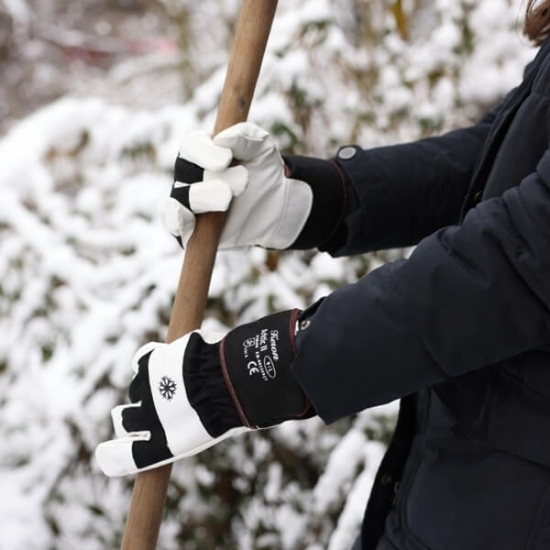 Fotografija izdelka Rokavice Arctic II (11 / XXL)