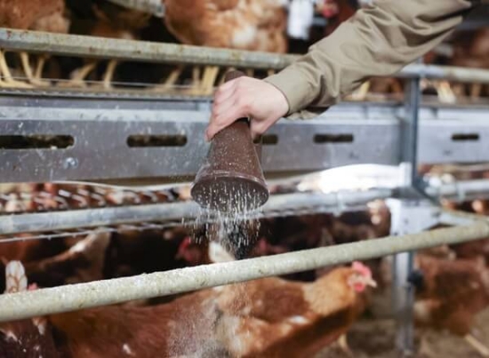 Fotografija izdelka Razpršilec prahu