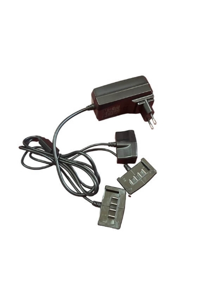 Fotografija izdelka Polnilec baterij CAMPAGNOLA za STARK M 16,8 V