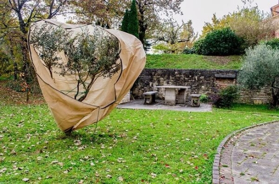 Fotografija izdelka Zaščitno pokrivalo za rastline, bež (2 x 2.4 m)