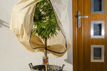 Fotografija izdelka Zaščitno pokrivalo za rastline, bež (1,4 m x 2 m)