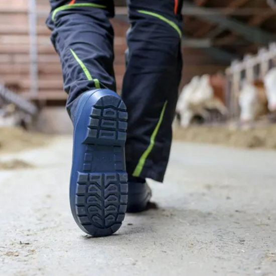 Fotografija izdelka NORA PU Cokli št. 42