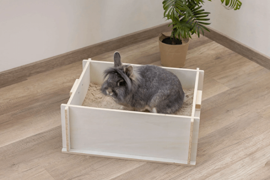 Fotografija izdelka Škatla za kunce 50 x 39 x 20 cm