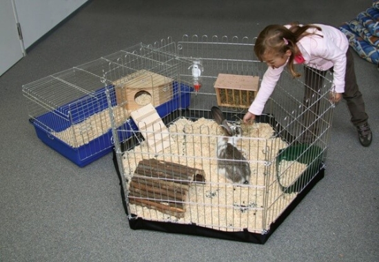 Fotografija izdelka Podlaga za kletko za kunce