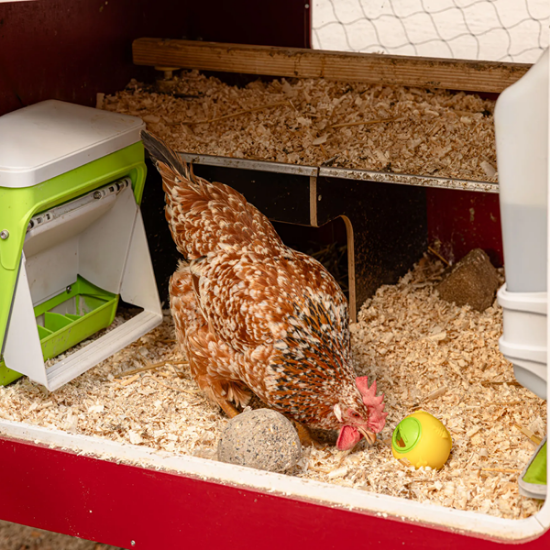 Fotografija izdelka Krmilnik za piščance 