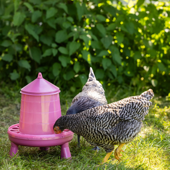 Fotografija izdelka Avtomatski krmilnik s stojalom 