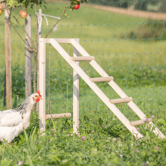 Fotografija izdelka Plezalni stolp z gugalnico za kokoši, 85 x 55 x 76 cm