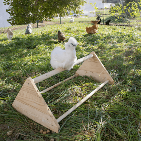Fotografija izdelka Gred za piščance 56 cm x 40 cm x 25 cm