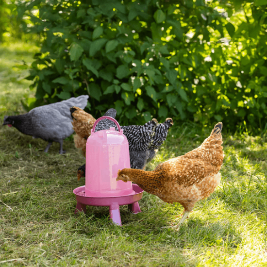 Fotografija izdelka Plastičen napajalnik, 5 l 