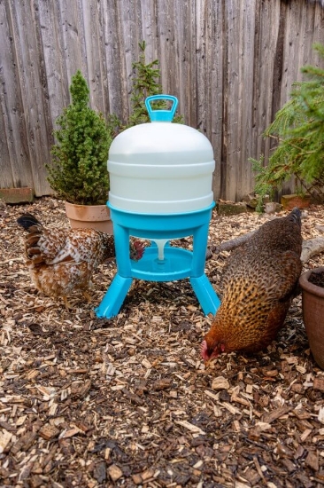 Fotografija izdelka Napajalnik za perutnino, 30 L