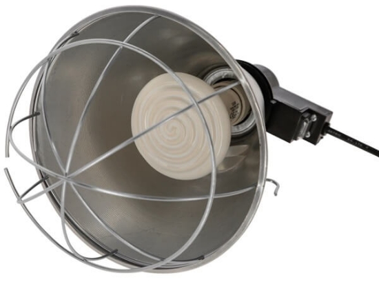 Fotografija izdelka Infrardeča termalna luč 250 W