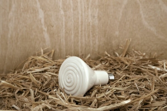 Fotografija izdelka Infrardeča termalna luč 250 W