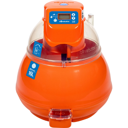 Fotografija izdelka Digitalni inkubator, 16 l