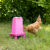 Fotografija izdelka Krmilnik za perutnino (5,5 l), roza