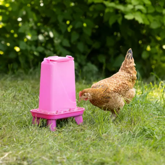 Fotografija izdelka Krmilnik za perutnino (5,5 l), roza