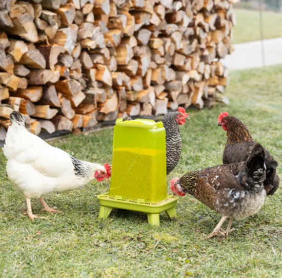 Fotografija izdelka Krmilnik za perutnino, (3,5 l), zelen