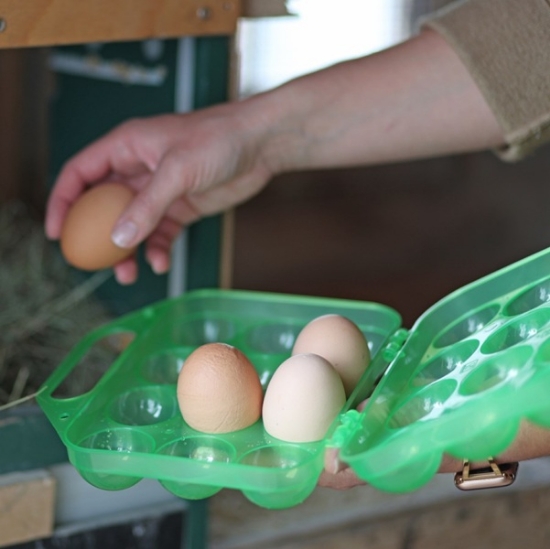 Fotografija izdelka Škatla za prevoz jajc zelena