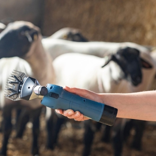 Fotografija izdelka Škarje za ovce Akku2 