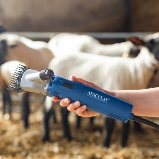 Fotografija izdelka Glava za striženje ovc Econom Aesculap, vključno s kompletom rezil