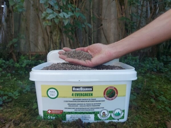 Fotografija izdelka Gnojilo 4 EVERGREEN za travo 3 v 1 - 5 kg
