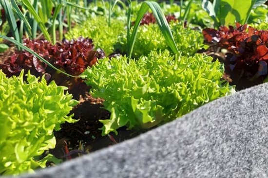 Fotografija izdelka Visoka greda 567 L siva