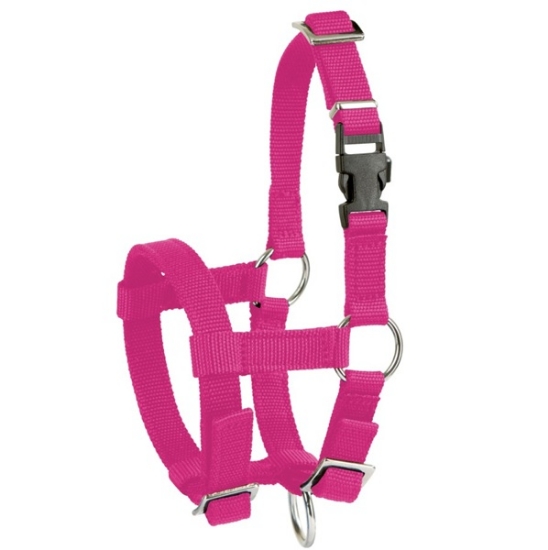 Fotografija izdelka Uzda za lame (roza), 20mm