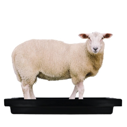 Fotografija izdelka Posoda za kad za noge SuperKombi Mini (za ovce)