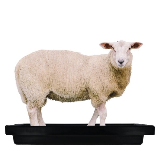 Fotografija izdelka Posoda za kad za noge SuperKombi Mini (za ovce)