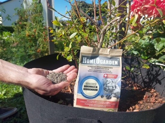 Fotografija izdelka Gnojilo Organske borovnice in rododendron 1 kg