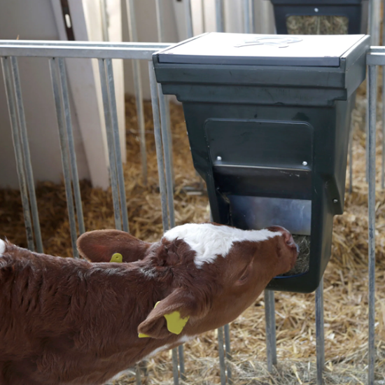 Fotografija izdelka Majhna škatla za krmo