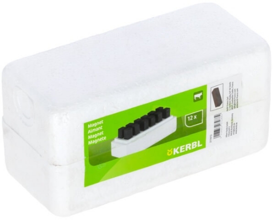 Fotografija izdelka Magnet za zdravljenje bolezni (12 kom)