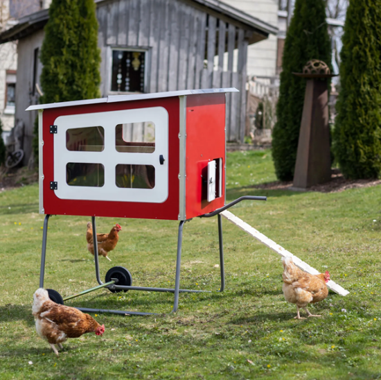Fotografija izdelka Mobilni kokošnjak